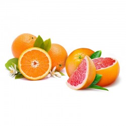 Orange Premium + Grapefruit...