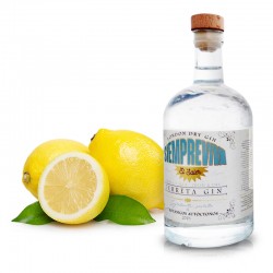 Zitronen + Valenzianischer Gin