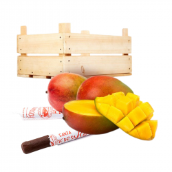 Mangos RoyalSun – 9 Stück