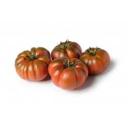 Mittelmeer Tomaten (1Kg)