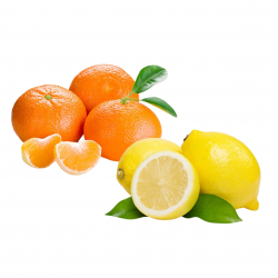 Mandarinen + Zitronen