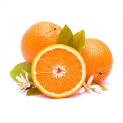 Premium Orangen 12 Kilo