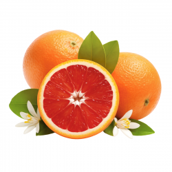 Red Kirwood Orange 12 Kilo