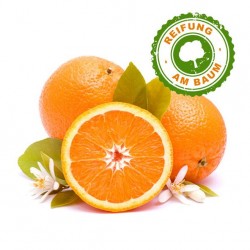 Premium Orangen 12 Kilo