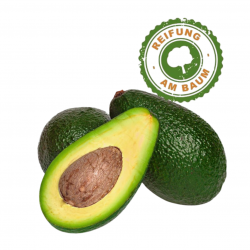 Avocados Little Sunshine 12...